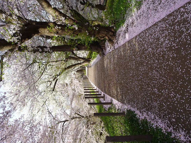 摜2