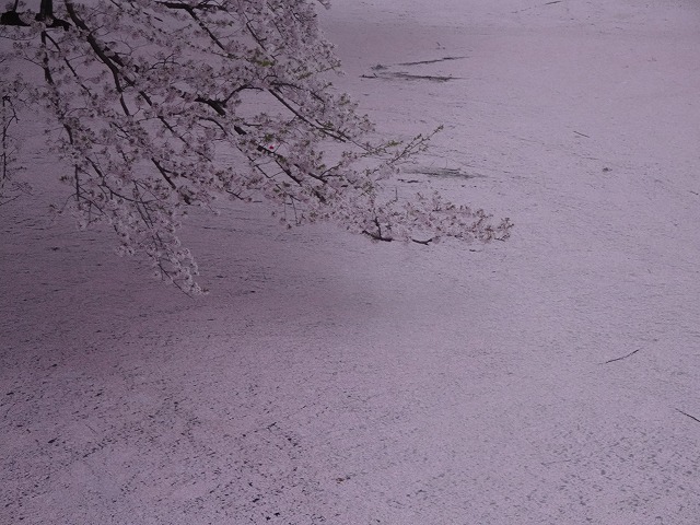 摜3