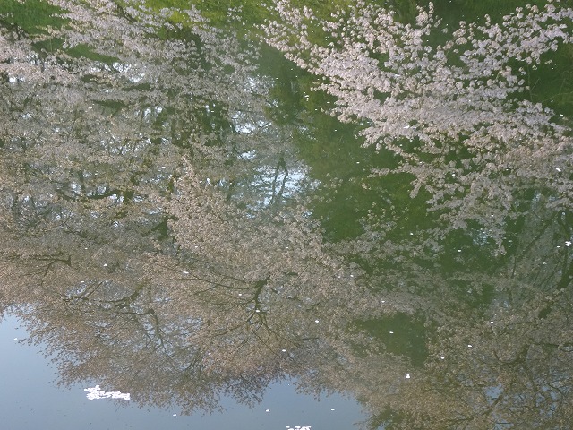 摜3
